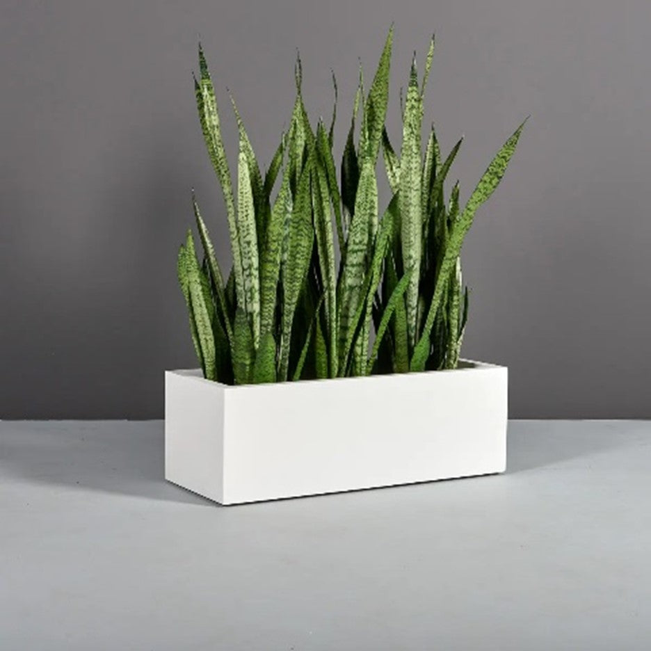 Cuba Planter Box