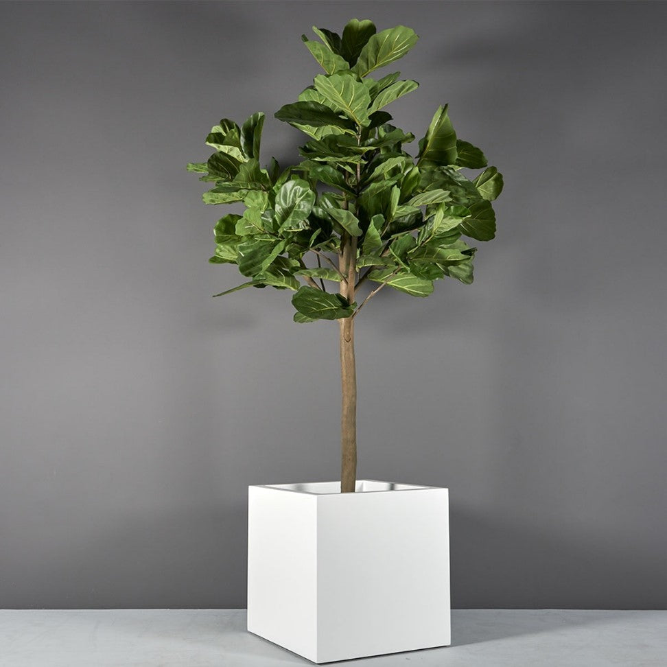 Montroy Cube Fiberglass Planter (small sizes 12"-24")