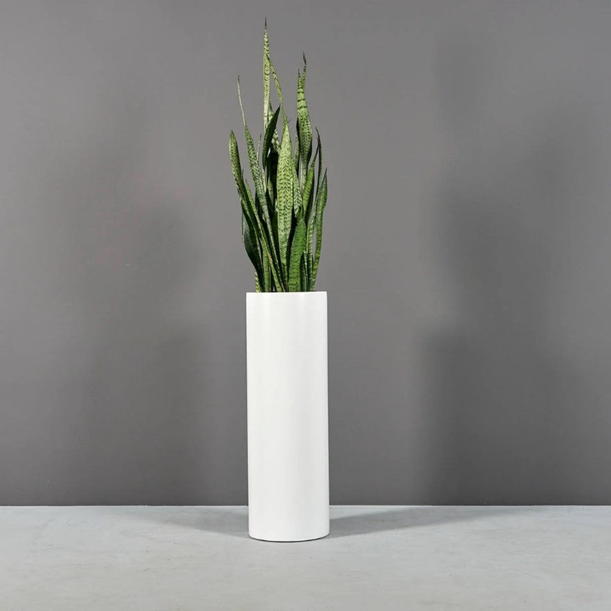 Corry Planter