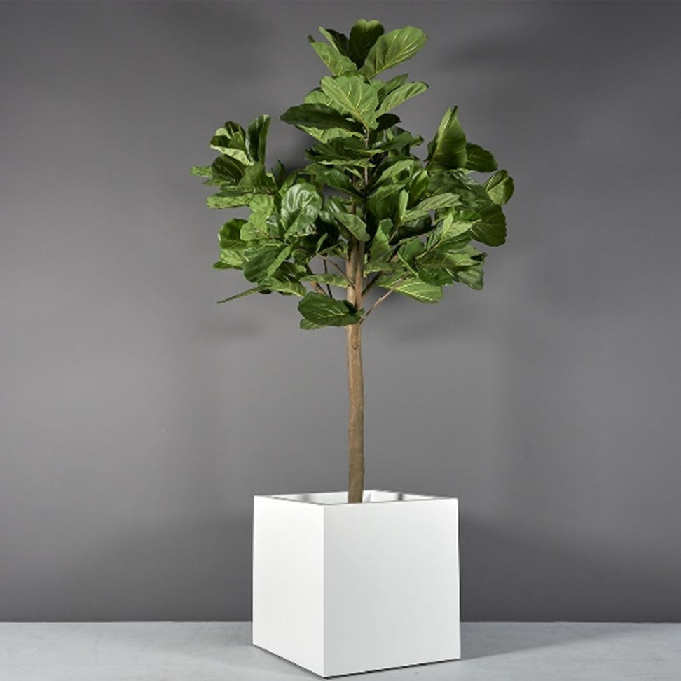 Montroy Cube Fiberglass Planter (Large sizes 32"- 60")